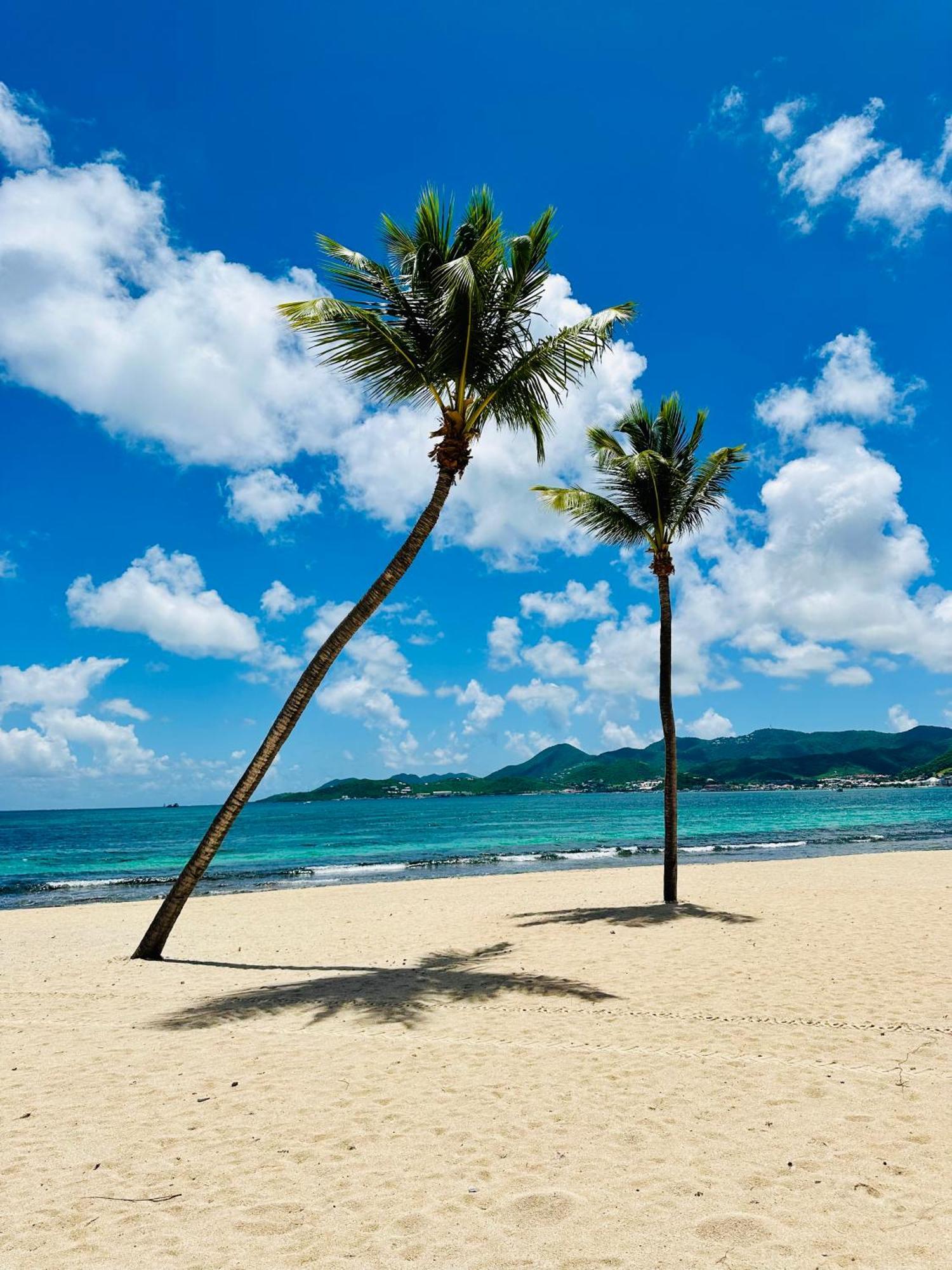 Shell Beach Splendide 2 Chambres Sur La Plage Saint Martin Exterior foto