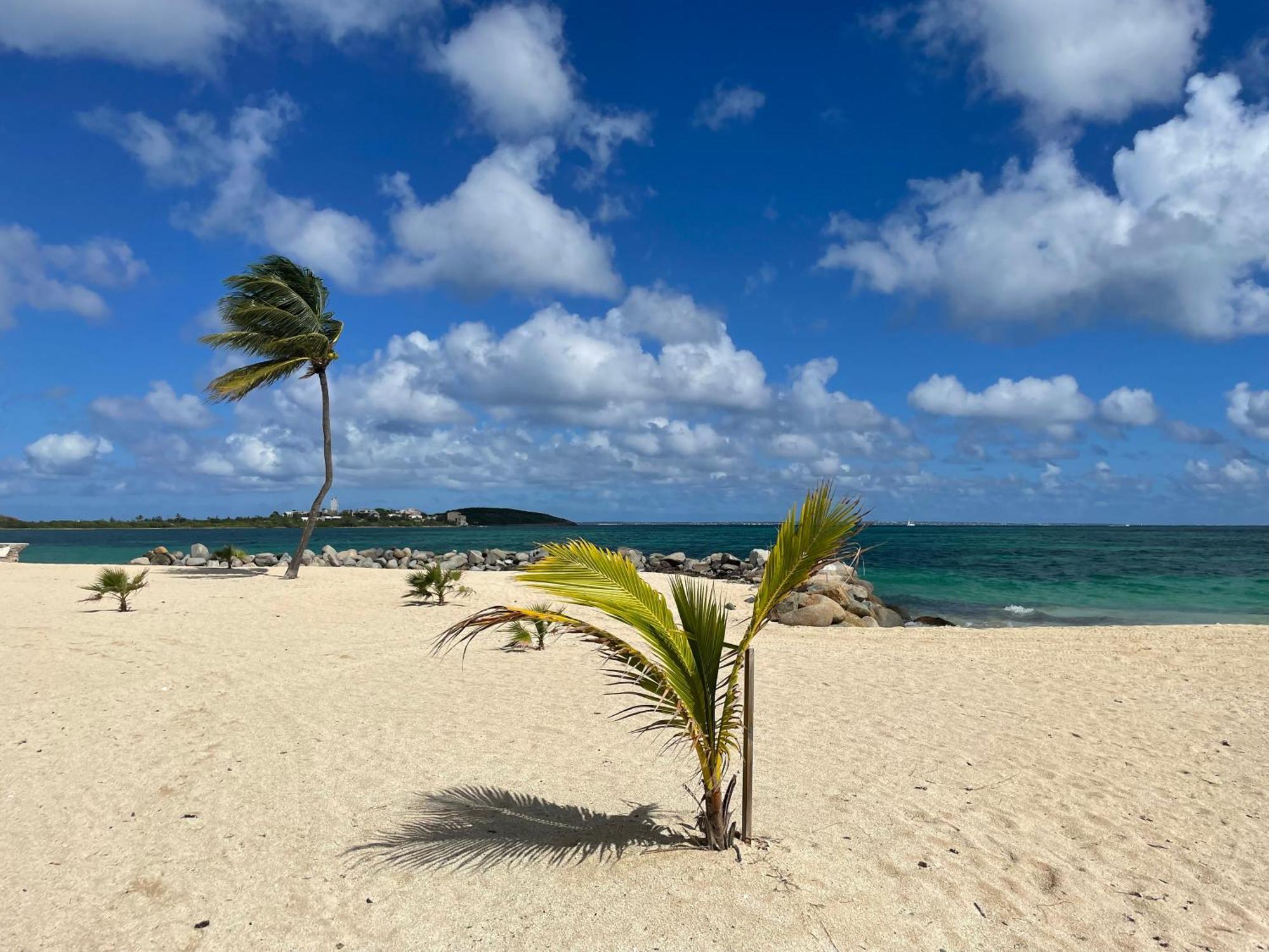 Shell Beach Splendide 2 Chambres Sur La Plage Saint Martin Exterior foto